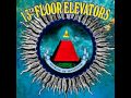 The 13th Floor Elevators - Before You Accuse Me (1966)
