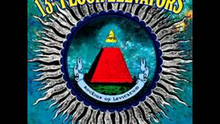 The 13th Floor Elevators - Before You Accuse Me (1966)
