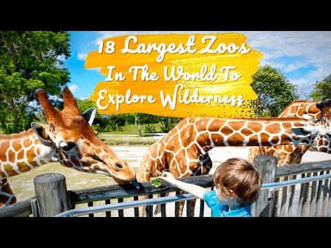 33 Largest Zoos In The World That Are A Must Visit In 2026!