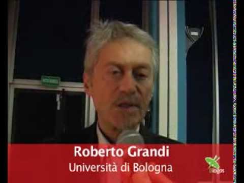Roberto Grandi - Parlando di PS 2013