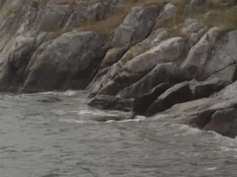 Hermans Historia - Karl XI Del 1 (4/5)