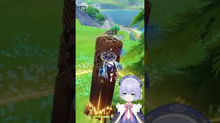 Nothing can stop these Wanderer mains | Genshin Impact