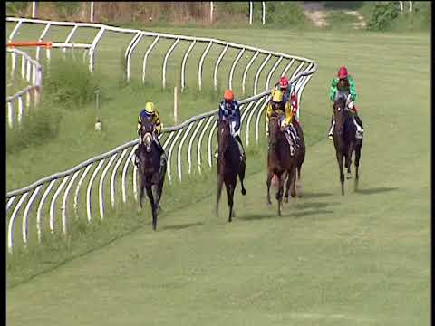 Galoppo 22/06/2018 - 3ª corsa