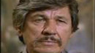 CHARLES BRONSON: RADICAL TRIBUTE