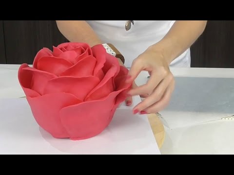 download lagu mp3 mp4 Daily Cakes, download lagu Daily Cakes gratis, unduh video klip Daily Cakes