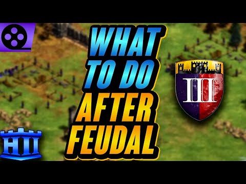 What To Do After Feudal Age | AoE2