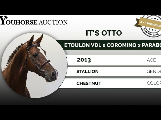 It's Otto @ show indoor
