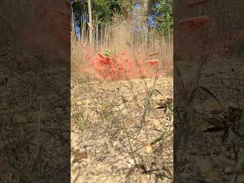 AMMO REVIEW:  .223 62 gr FEDERAL FUSION and FUSION MSR
