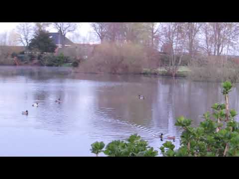 Westenholte - Ainmals on the lake