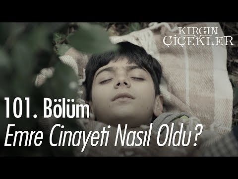 Emre cinayeti nasıl oldu? - Kırgın Çiçekler 101. Bölüm