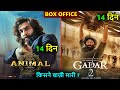 Animal box office collection, gadar 2 box office collection, ranbir kapoor, sunny deol
