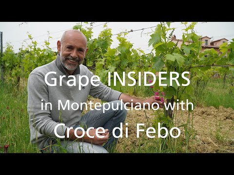 Grape INSIDERS: Croce di Febo in Montepulciano, tuscany wine tours