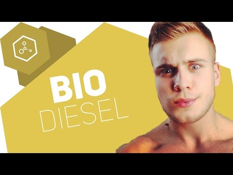 What is biodiesel?!