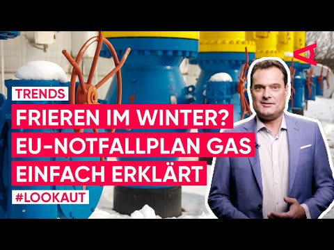 EU Notfallplan Gas: Nordstream, Russland & Energiesparen
