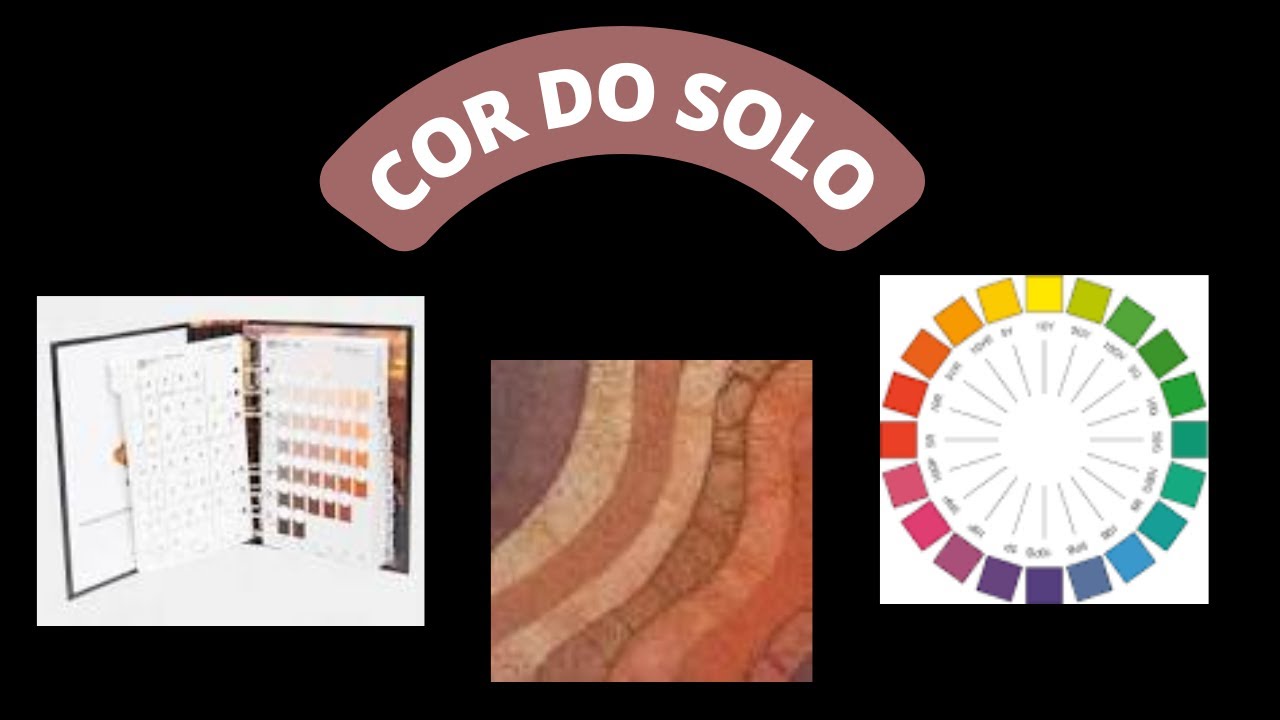 Aula sobre cor do solo