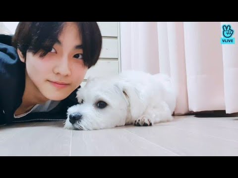 ENHYPEN  Jungwon VLive | 210911 | Did you eat dinner, ENGENE~!?? (Eng/Indo Sub)