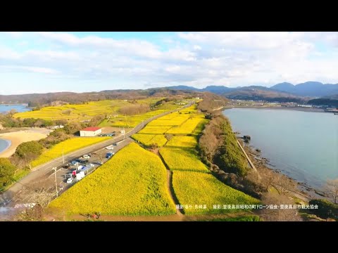 【ドローン映像】大分県豊後高田市　長崎鼻リゾートキャンプ場　菜の花