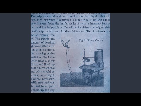 Head Down video