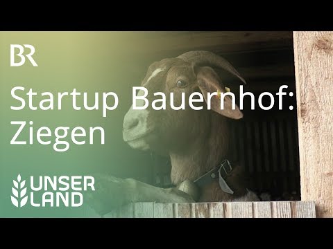 , title : 'Startup Bauernhof: Nach den Schweinen kommen die Ziegen | Unser Land | BR Fernsehen'