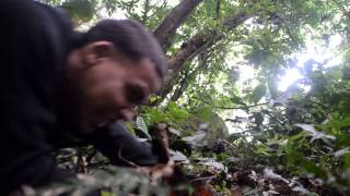 Jupiter - Your Favorite Martian (JS Version)