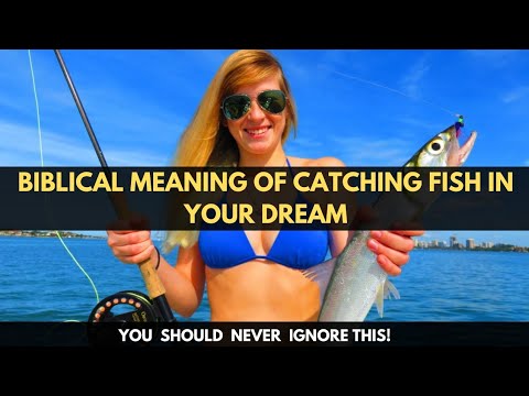 Catching Fish in a Dream Biblical Meaning