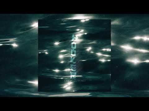 ZXH - Hooker ft. Guscaci (uma remix de "Boo")