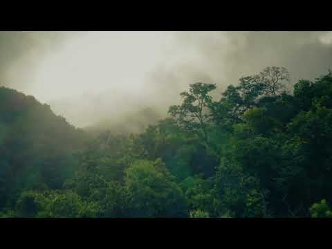 Bass Temp x Raptatek - Tribal Fever