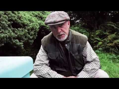 The Black Bee Project