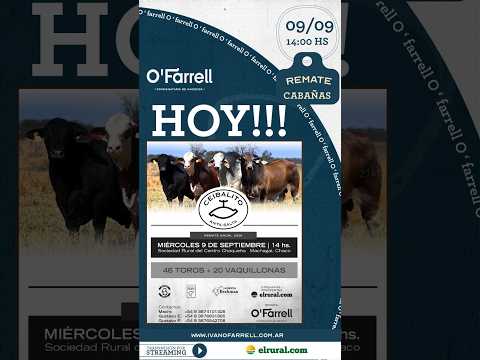REMATE CABAÑAS CEIBALITO ANTA - SALTA , SOC. RURAL DEL CENTRO CHAQUEÑO MACHAGAI - CHACO