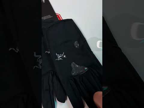 Перчатки arcteryx delta glove gore-tex Водонепроницаемые утепленные зимние перчатки Перчатки сенсорные черные - фото 1 - id-p2392992880