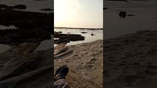 Download lagu snap wa sunset di pantai mp3 Download lagu snap wa sunset di pantai mp3