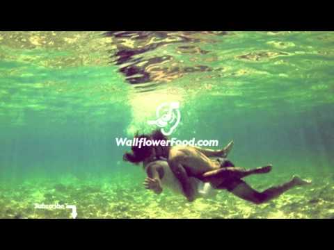 Sam Padrul ft. Chuck New - The Way You Move (Free Download Here!)