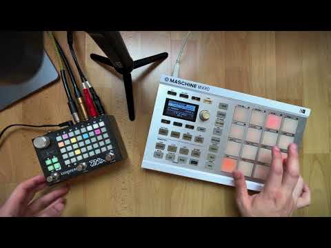 Afterlife - Live Ambient Performance ft. Empress ZOIA & Maschine Mikro