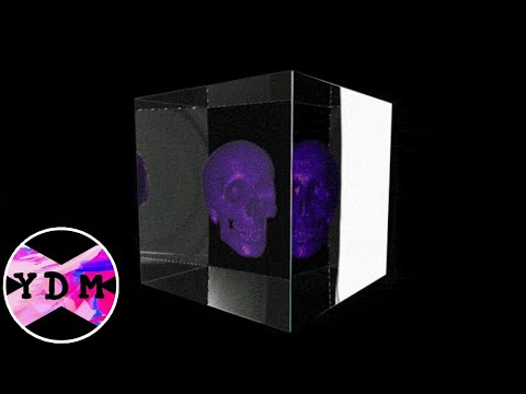 Panda Eyes x Nasko - Gold Grillz