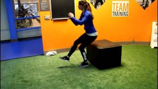 Single Leg Stand Up from Tall Box (Beginner Pistol Squat) to