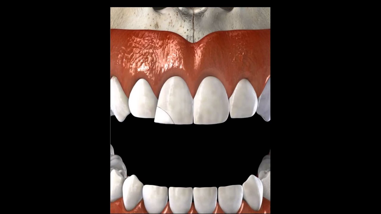 Lucía Inés Torrado Cote-30