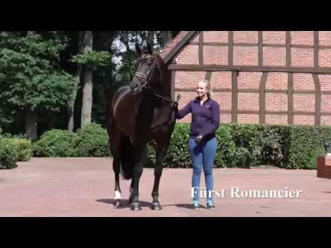 Fürst Romancier by Fürst Heinrich/Romancier