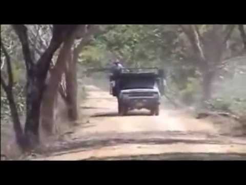 Arpa Vieja (Vagabunda) - Reynaldo Armas