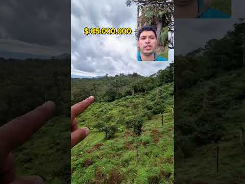 "GANGA" 3 HECTAREAS EN ARBELAEZ CUNDINAMARCA