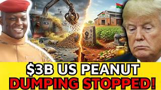 The $3B Peanut Strike: How Africa Crushed America's Toxic Dumping?