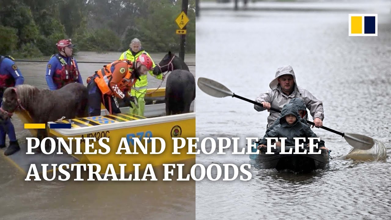 Animals rescued from Australia floods, thousands evacuated from Sydney