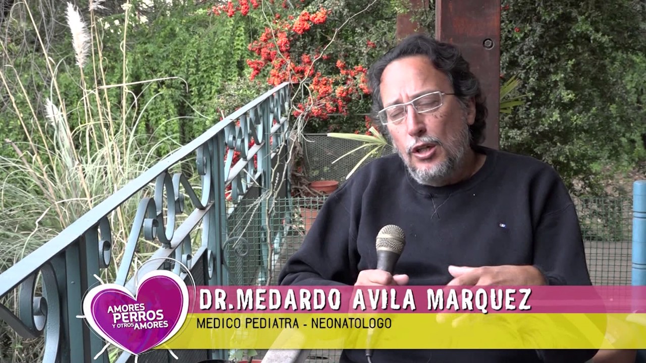 Los agroquímicos y los alimentos.