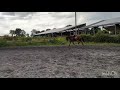 Cheval de sport avec moyens