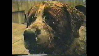 Beck - Diamond Bollocks