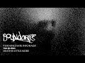 Boundaries Turning Hate Into Rage Official Audio