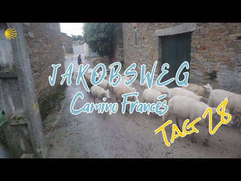 Camino Francés - Tag 28