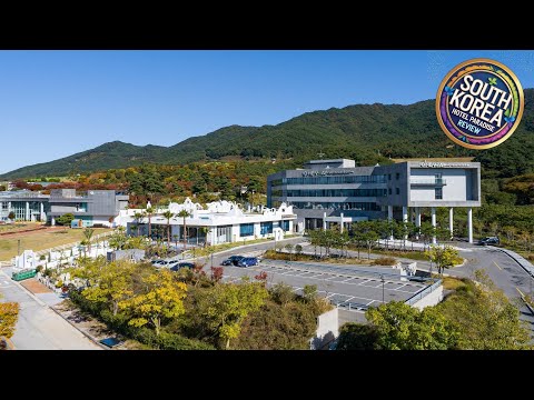 HOTEL OHEVDAY | Namwon-si, South Korea | Hotel Review 🛏️
