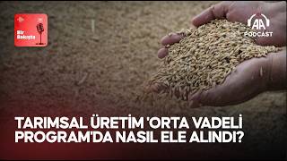 Tarımsal üretim 'Orta Vadeli Program'da nasıl ele alındı?