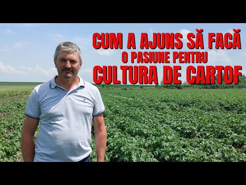 Cum a ajuns să facă o pasiune pentru cultura de cartof