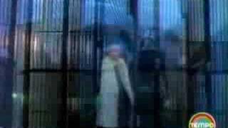 Damian Marley - Searching (1996)